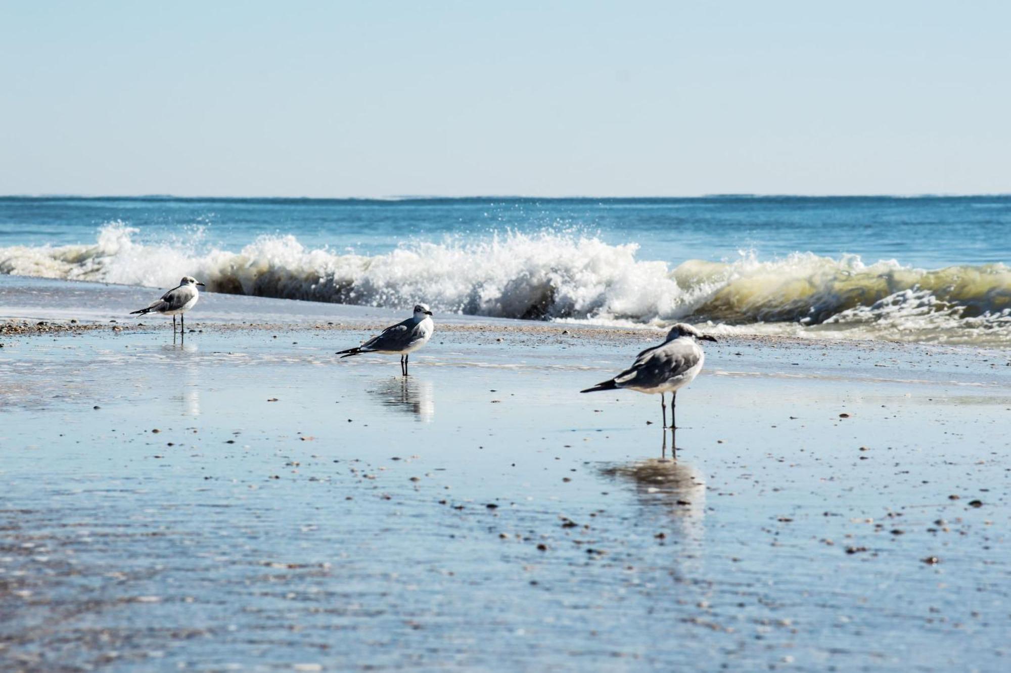 The Beach Is Only Steps Away غولف شورز المظهر الخارجي الصورة